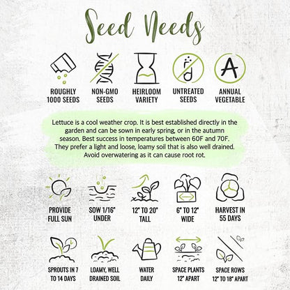Seed Needs Romaine Lettuce Seeds for Planting Parris Island COS - Non-GMO Heirloom & Untreated Annual Cool Weather Crops - Grow a Home Grown Outdoor Vegetable Garden (5 Packs)