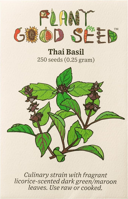 Plant Good Seed Organic Sweet Thai Basil Seed - Pack of 250, Heirloom Seeds for Planting Herbs - Gardening Supplies, Vegetables, Flower, Herb, Garden Seeds - Non-GMO, from USA