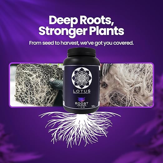 Boost Pro Series Bloom Booster and Yield Enhancer, Boost Any Plant Feeding Recipe for Turbo-Charged Flower Density/Oil Production, Amino Nitrogen Formula for Soil, Hydroponics and Coco Coir - 144 oz