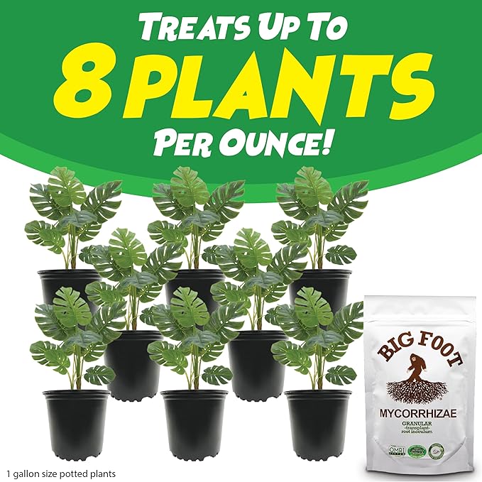 Big Foot Mycorrhizae - Double Your Plant Size – Easy to Use – Made in USA – Treats 30 Plants (7,500 mycorrhizal Spores)