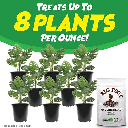 Big Foot Mycorrhizae - Double Your Plant Size – Easy to Use – Made in USA – Treats 30 Plants (7,500 mycorrhizal Spores)