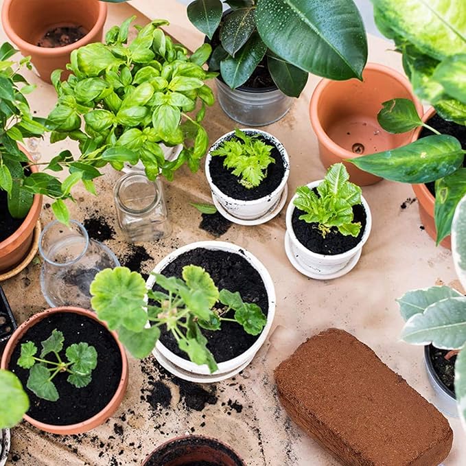 Coco Coir Bricks for Plants - Compressed Coconut Fiber Substrate Plant Soil for Vegetables Flowers Berries Planting, Reptile Bedding(6 Pack)