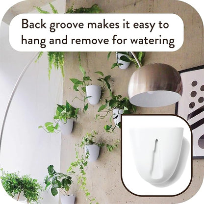 Make Good PlantPod Luxe Self-Watering Wall Planters (Set of 3) - Easy to Water and Install - Lightweight - Design Your Own Vertical Garden - Wall Planters for Indoor Plants
