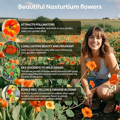 Nasturtium Seeds, 1 Ounce Large Packet 200+ Seeds, Climbing Nasturtium Flower in 3 Colors, Non-GMO | Heirloom | Edible Flower | Attract Pollinators (Orange, Red, Yellow), USDA 2-11
