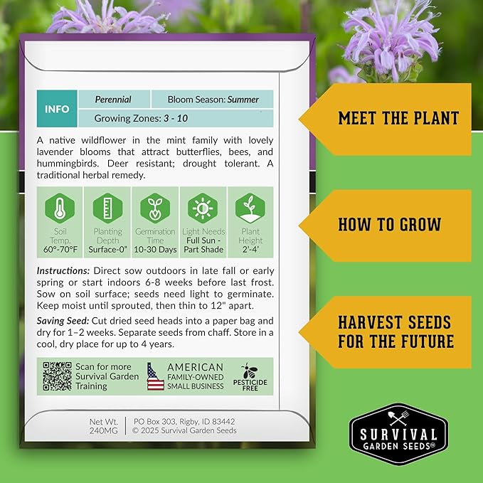 Bee Balm Seeds for Planting - Wild Bergamot (Monarda Fistulosa) Perennial Native Wildflower & Medicinal Herb for Pollinator Gardens, Fragrant Heirloom Flower - Survival Garden Seeds (2 Packs)