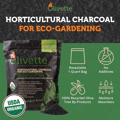 Olivette Horticultural Biochar Activated Charcoal for Plants, USDA Organic Moisture Control for Terrarium Trees & Potted Plants, Eco-Conscious, 1 Bag