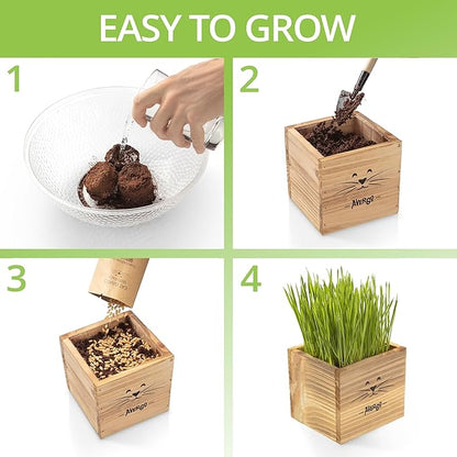 Cat Grass Kit for Indoor Cats – x2 Seed Packets | Cat Grass Seeds with Wooden Planter & Soil – Pet Wheatgrass Grass