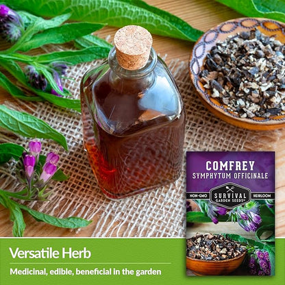 Comfrey Seeds for Planting - Symphytum Officinale Medicinal Perennial Herb for Compost Tea & Natural Skincare - True Slippery Root Non-GMO Heirloom - Survival Garden Seeds (5 Pack)