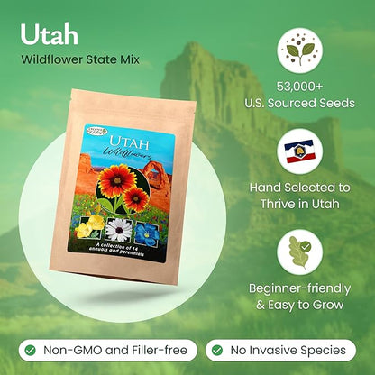 Created By Nature Utah Wildflower Seed Mix, 14 Flower Varieties, 53,000 Seeds