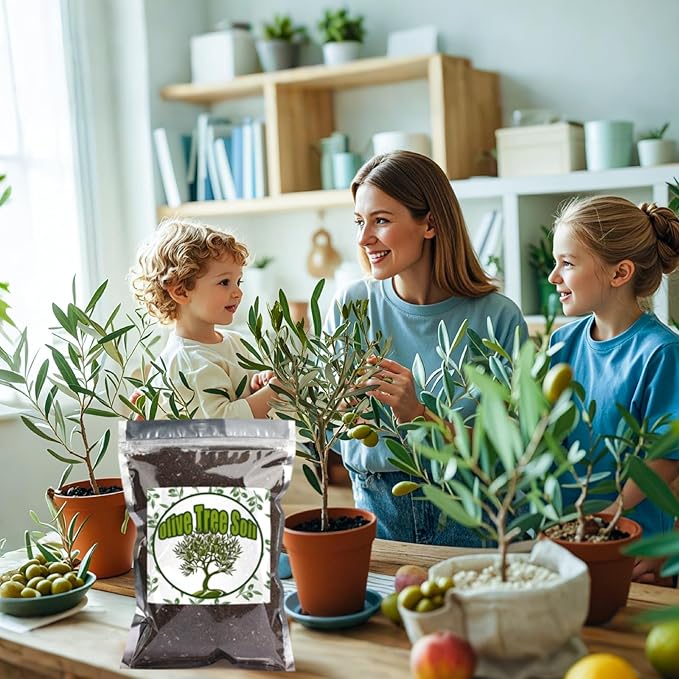 Premium Olive Tree Potting Mix 2qt, Uesed for The Propagation of Olive Trees by Cuttings or Seeds, Suitable for Planting, Repotting, and Growing Houseplant