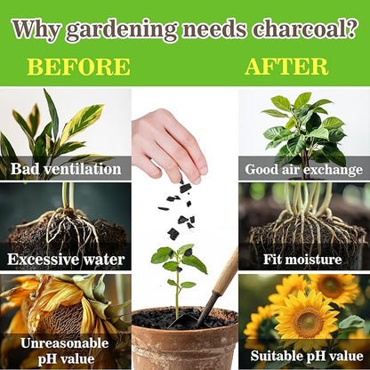 Sukh Horticultural Charcoal for Plants - 1Qt. Natural Earth Regulated Supplement for Potting Soil Indoor Plants, Organic Biochar, Succulent Soil, Paphiopedilum, Bonsai, Terrarium