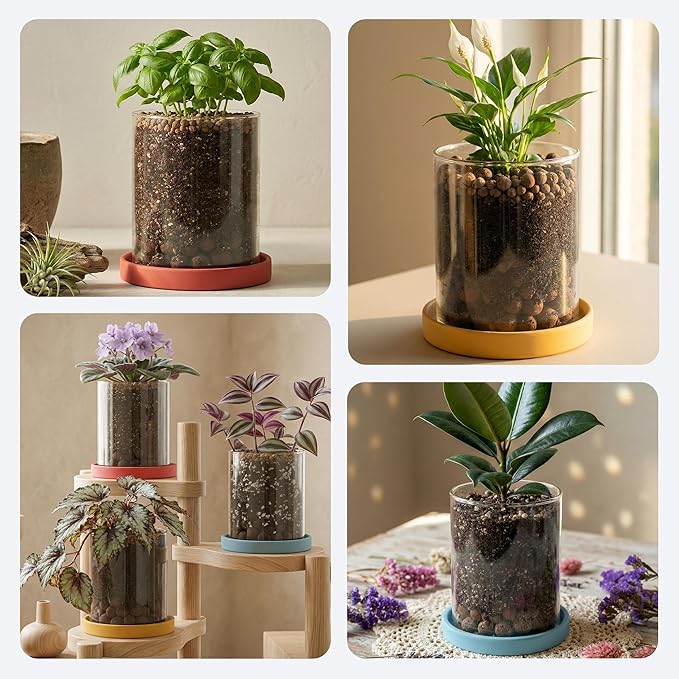 3-Pack 4 Inch Clear Glass Plant Pots with Drainage and Ceramic Trays, Indoor Herb Planters for Home Office, Succulents & Small Plants (Primary 3-Pack)