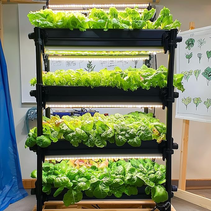 20,000+ Lettuce Seeds, Heirloom Winter Vegetable Seed for Planting Indoor Outdoor, 10 Varieties of Fresh Salad Greens for Hydroponics Kit, Easy to Grow for Garden Beginners, Non-GMO