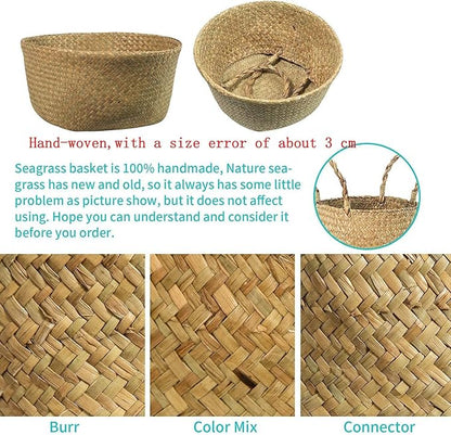 Seagrass Belly Basket, Set of 2 Woven Plant Pot Holder Handmade Home Decor for Storage Plants Picnic Grocery Large(12.6 x 11.02 inch)