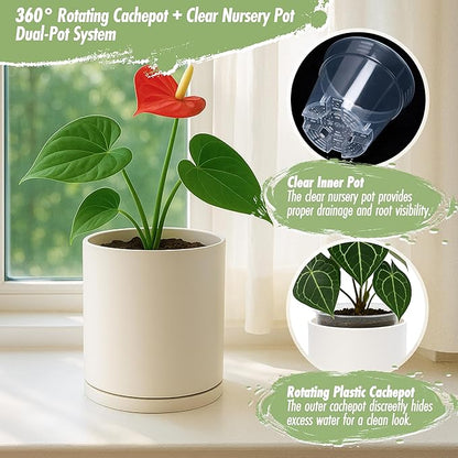 D'vine Dev Double-Layer Planter Set – Rotating Plastic Cachepot with Clear Inner Liner for Root Health, Perfect for Indoor Plants, 4.5", Oatmeal, 73-U-D-1