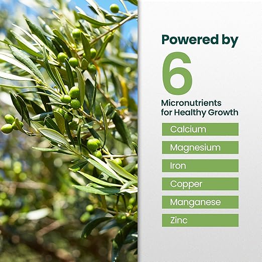 16oz Olive Tree Fertilizer – Makes 16 Gallons of Olive Plant Food – 2-in-1 Liquid Plant Food with Macronutrients + Micronutrients for Lush Foliage, Strong Roots, Bountiful Harvests & Plump Fruits