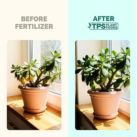 TPS NUTRIENTS Jade Fertilizer for All Jade and Crassula Plants, Liquid Plant Food, 32 oz (1 Quart)