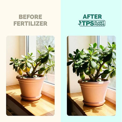 TPS NUTRIENTS Jade Fertilizer for All Jade and Crassula Plants, Liquid Plant Food, 32 oz (1 Quart)