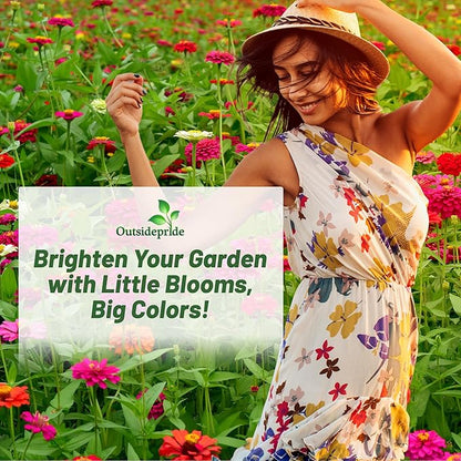 Outsidepride Zinnia Seeds - 1 Lb. Annual Blend of Hardy Compact Mixed Color Ball-Shaped Blooms for Planting in Outdoor Containers, Borders, Flower Beds, Cutting Gardens & Pollinator-Friendly Spaces