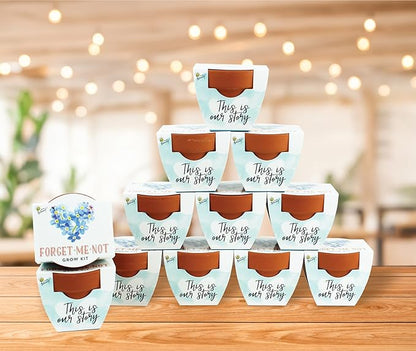 BUZZY Seeds Forget-Me-Not Terracotta Mini Grow Pots Love Collection, 12-Pack All-in-One Gardening Kit for Wedding Favors, Prizes, Birthday Gifts, Party Favors, Bridal Showers, Valentines