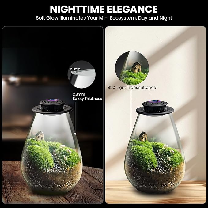 Glass Plant Terrarium with UFO LED Light, Large Terrarium for Venus Fly Trap Live Plant with LED Light & Ventilation, for Plants Ideal for Succulents,Home Office Desk Decor, 7.8" Tall