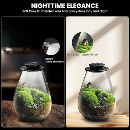 Glass Plant Terrarium with UFO LED Light, Large Terrarium for Venus Fly Trap Live Plant with LED Light & Ventilation, for Plants Ideal for Succulents,Home Office Desk Decor, 7.8" Tall