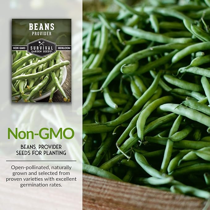 Provider Bush Bean Seeds for Planting - 3 Packs with Instructions to Plant and Grow Stringless Green Beans in Your Home Vegetable Garden - Non-GMO Heirloom Variety - Survival Garden Seeds (3 Packs)