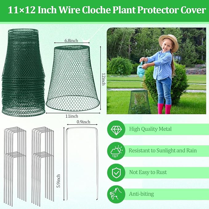 Therwen 15 Pcs Large Chicken Wire Cloche Plant Protector Cover 11x12 Inch Metal Garden Cloche Dome for Plants Wire Protection Basket with Garden Stakes Plant Cages from Animals (Green)