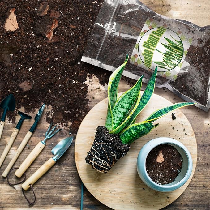 Premium Snake Plant Soil Mix 10qt, Indoor Plants Potting Mix for All Potted Snake Plants, Promote Healthy Growth and Easy Care, black