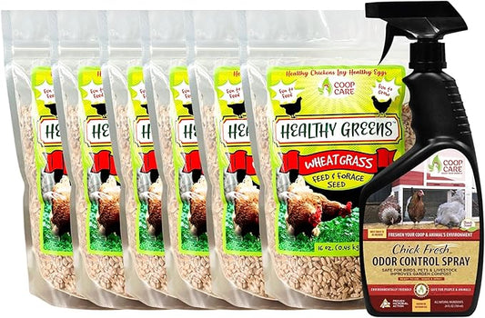 Healthy Greens Wheatgrass Scratch Feed & Fodder Seed, 1lb Bag. Premium Wheat Berries, Non-GMO Wheatgrass for Backyard Chickens, Plant Indoors/Outdoors. Also Ideal for Cats, Dogs w/Chick Fresh (5 Bags)