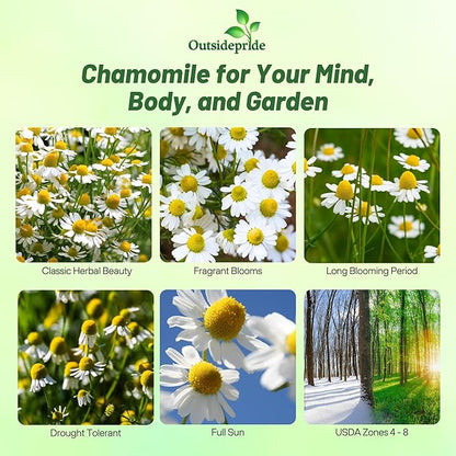 Outsidepride German Chamomile Seeds - 5000 Pcs Annual, Drought Tolerant, Self-Seeding & Versatile, Herb Seeds for Planting Sweet Scented Daisy-Like Blooms, Ideal for Slopes & Pollinator Gardens