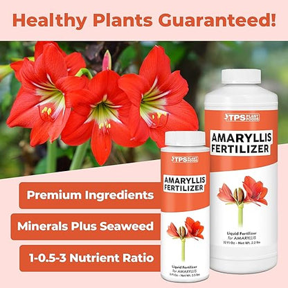 Amaryllis Fertilizer for Amaryllis Bulbs, Great for Amaryllis Bulbs in Vase or for Planting, Liquid Fertilizer by TPS Plant Foods, 8 oz (250mL)