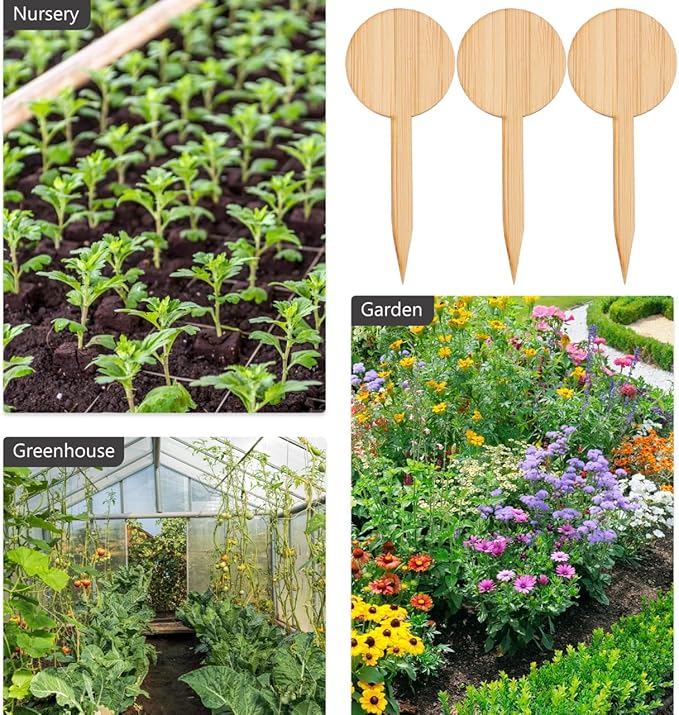 Mipcase 20pcs Plant Labels Round t Shape Miniature Decor Signs for Box and Garden Markers Natural Material for Easy Plant Identification