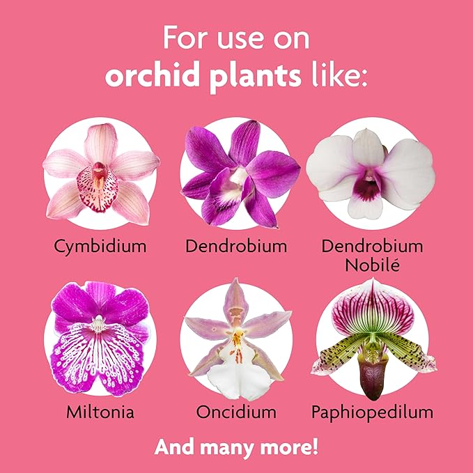 Miracle-Gro Orchid Plant Food Spikes, 2-Pack, 10 Spikes Per Pack