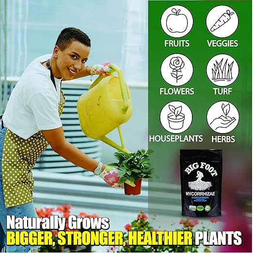 Big Foot Mycorrhizae for Plants, Potted Plants and Gardens - Concentrate Fully Dissolves in Water, Year Round Organic Fertilizer for Root Growth and Healthy Soil - 32 Ounces of Mycorrhizal Inoculant