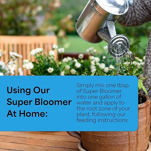 Grow More Super Bloomer 15-30-15 Fertilizer - 3lbs of Flower Fertilizer Bloom Booster for More Colorful Blooms & Blossoms - Flower Food for Flowers of All Types with Chelated Iron & Manganese
