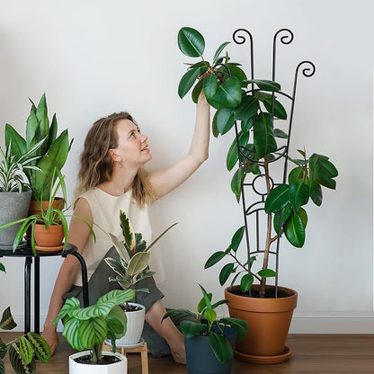 32.6in Plant Trellis for Climbing Plants Indoor, Expandable Large Metal Trellis for Potted Plants, Heavy-Duty Tall Pothos Plant Climber Support for Ivy Pothos Hoya Monstera, 2P