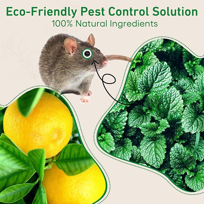 Mouse Rodent Repellent, 48 Pack Peppermint Oil for Mice, Mouse, Rats, Squirrel, Pest Control Indoor & Outdoor Use, Natural Deterrent Replace Trap Poisoning Family & Pet Safe Green