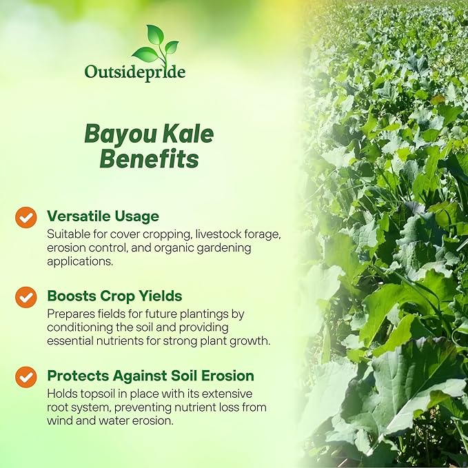 Outsidepride Bayou Kale Seeds - 10 lb. Annual, Versatile & Cold-Tolerant, Cover Crop Seeds for Planting Large, Resilient Foliage for Livestock Grazing, Erosion Control & Easy Growth