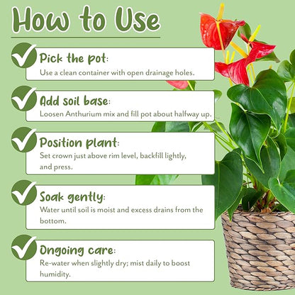 Soil Sunrise Anthurium Plant Potting Soil Mix (4 Quarts) Indoor Houseplant Custom Blend for Flowering Anthuriums