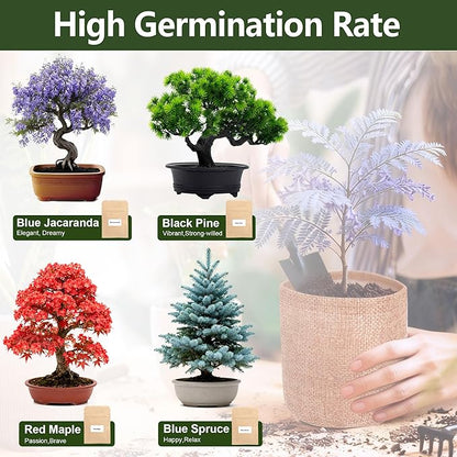 4 Pack Bonsai Tree Kit - 4 Seeds Growing Plant Bonsai Tree Live Kit for Beginners, Easy to Grow Complete Indoor Garden Starter Kits with Wooden Box & Tools, Christmas Gifts for Men Women Plant Lover