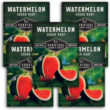 Sugar Baby Watermelon Seeds - Grow Little Round Icebox Watermelons at Home - Non-GMO Heirloom Variety for Planting - Survival Garden Seeds (5 Pack)