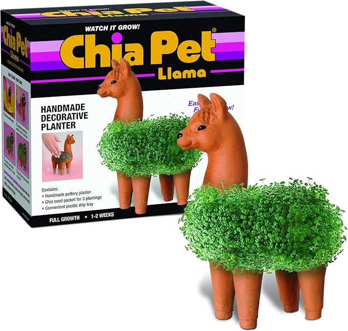 Chia CP439-01 Pet Llama Decorative Pottery Planter, Easy to Do and Fun to Grow