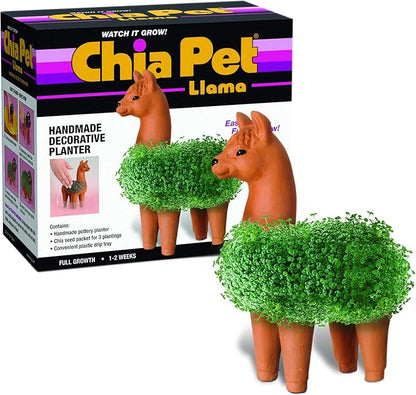Chia CP439-01 Pet Llama Decorative Pottery Planter, Easy to Do and Fun to Grow