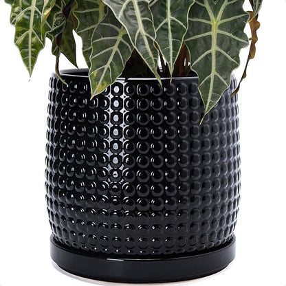 D'vine Dev 10 Inch Ceramic Beaded Stoneware Planter Pot - Flower Pot with Drainage Holes and Saucers for Indoor Succulent Plants or Flowers, Glossy Black, 27-C-P-2