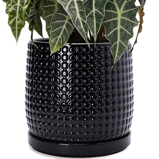 D'vine Dev 10 Inch Ceramic Beaded Stoneware Planter Pot - Flower Pot with Drainage Holes and Saucers for Indoor Succulent Plants or Flowers, Glossy Black, 27-C-P-2