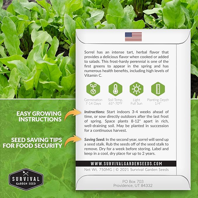 2 Packs Sorrel Seed for Planting - Packet with Instructions to Plant and Grow Rumex Acetosa Tangy Herb and Salad Greens in Your Home Vegetable Garden - Non-GMO Heirloom Variety - Survival Garden Seeds