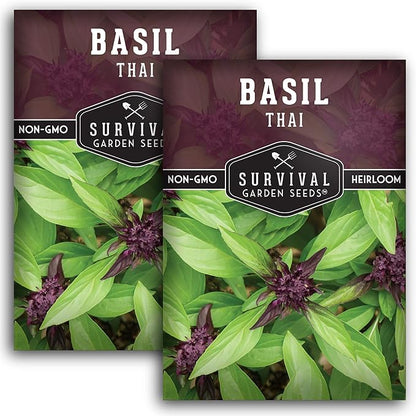 Thai Basil Seeds for Planting – Sweet Thai Basil with Anise Flavor for Asian Cooking – Heirloom Non-GMO Herb Seed for Indoor or Outdoor Gardens – Survival Garden Seeds (2 Pack)