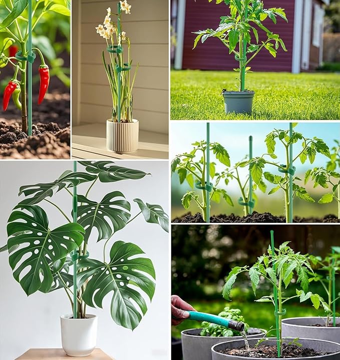 10PCs Plant Stakes for Indoor Plants,15 Inch Plant Support Stakes with Clips, Tall Adjustable Plant Sticks for Indoor Monstera Tomato Orchid Potted Plants Flower Comes with Spearhead End