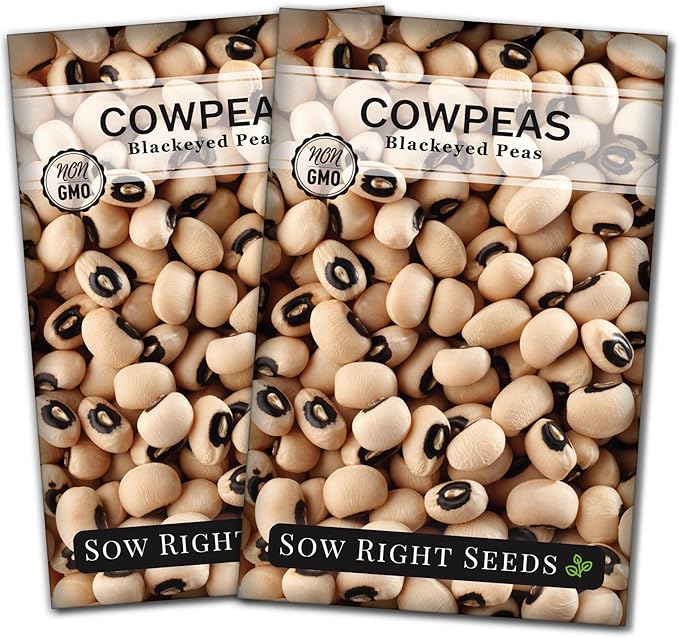 Sow Right Seeds - Black Eyed Cowpea Seeds for Planting - Non-GMO Heirloom Packet with Instructions to Plant a Home Vegetable Garden - Old Fashioned Bush Bean Variety - Extra Lucky (2)